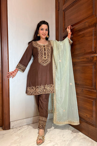 Brown Suit With Aari Work Brown Suit With Aari Work