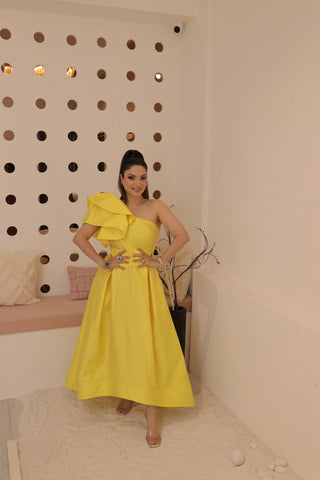 Cinderella Dress Cinderella Dress