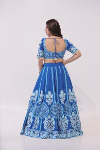 Blue Embroidered Lehenga Blue Embroidered Lehenga