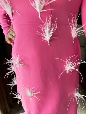 Pink Feather Dress Pink Feather Dress